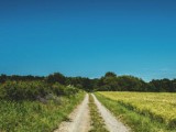 stann, St. Ann, Jamaica - Commercial/farm land for Sale